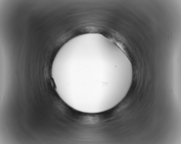 X0000086250317200704261941