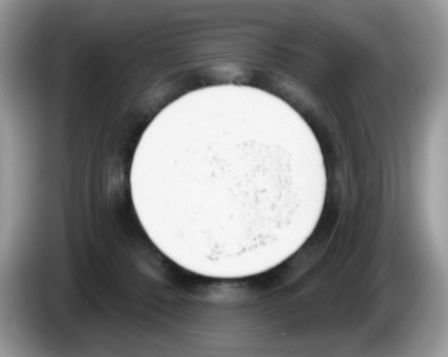 X0000086250320200704261941