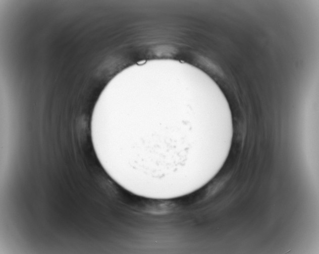 X0000086250321200704261941