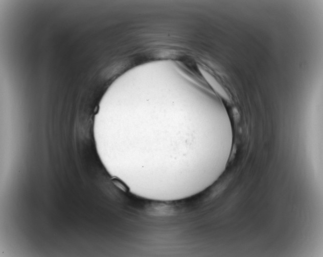 X0000086250325200704261941