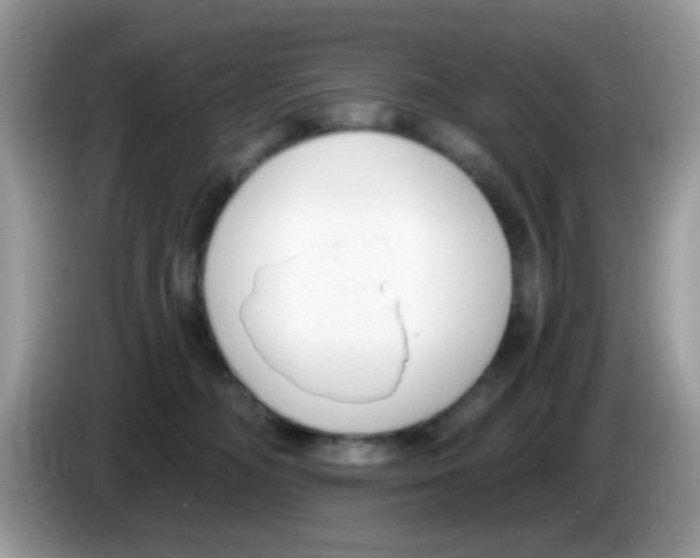 X0000086250326200704261941