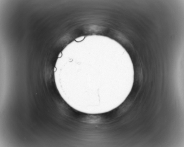 X0000086250328200704261941