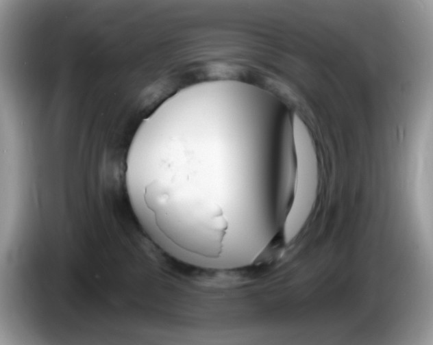 X0000086250329200704261941