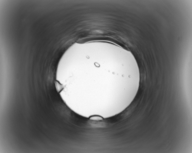 X0000086250331200704261941