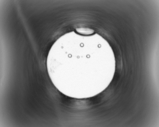 X0000086250332200704261941