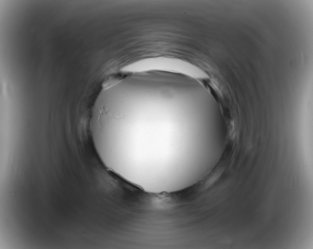 X0000086250333200704261941