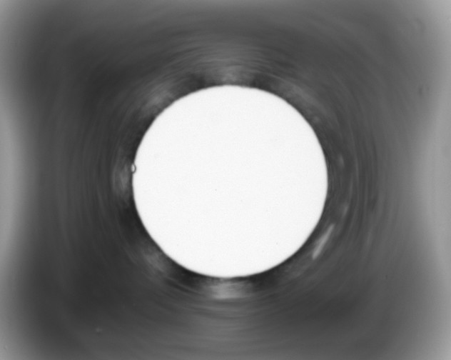 X0000086250336200704261941