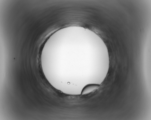 X0000086250338200704261940