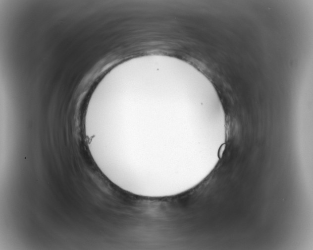 X0000086250339200704261940