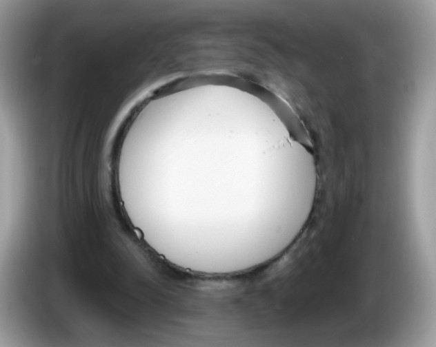 X0000086250342200704261940