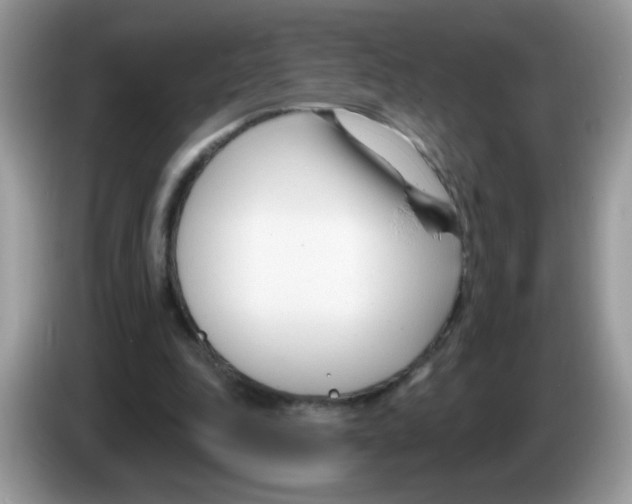 X0000086250343200704261940