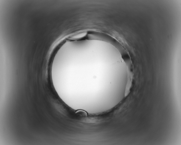 X0000086250344200704261940