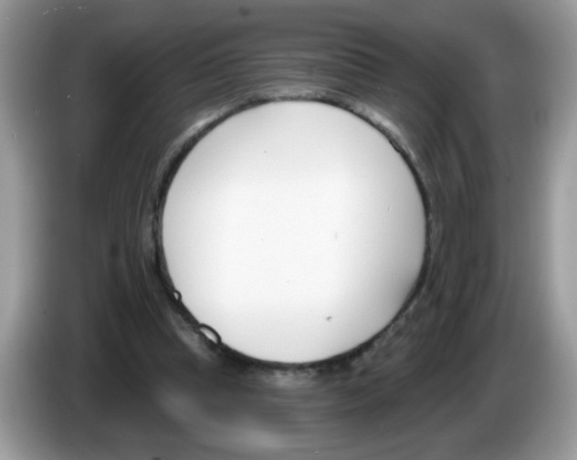 X0000086250345200704261940