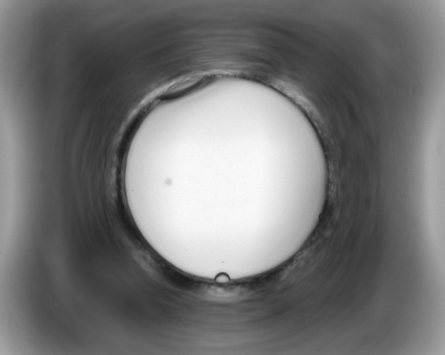 X0000086250346200704261940