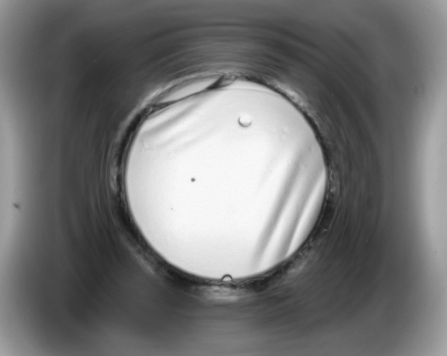 X0000086250347200704261940