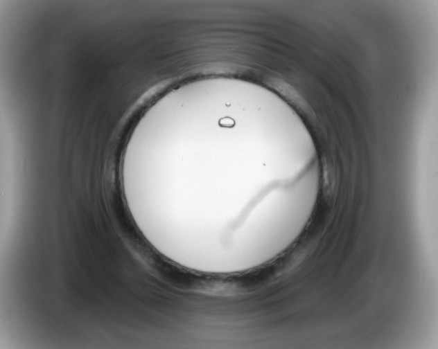 X0000086250348200704261940