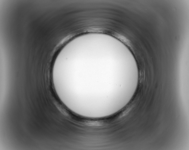 X0000086250349200704261940