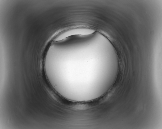 X0000086250350200704261940