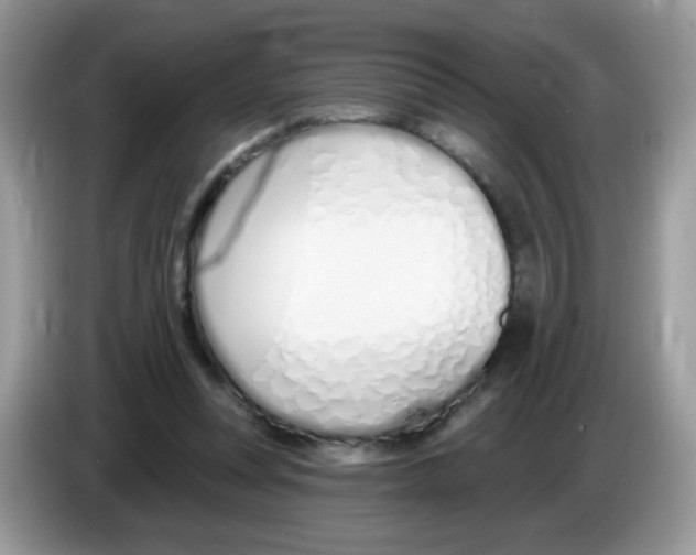 X0000086250351200704261940