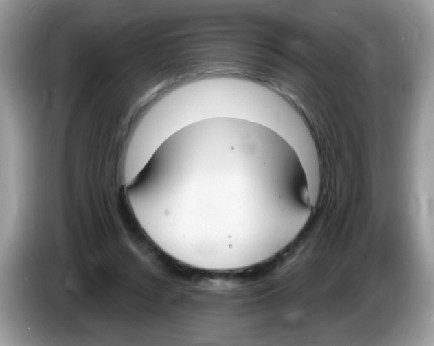 X0000086250352200704261940