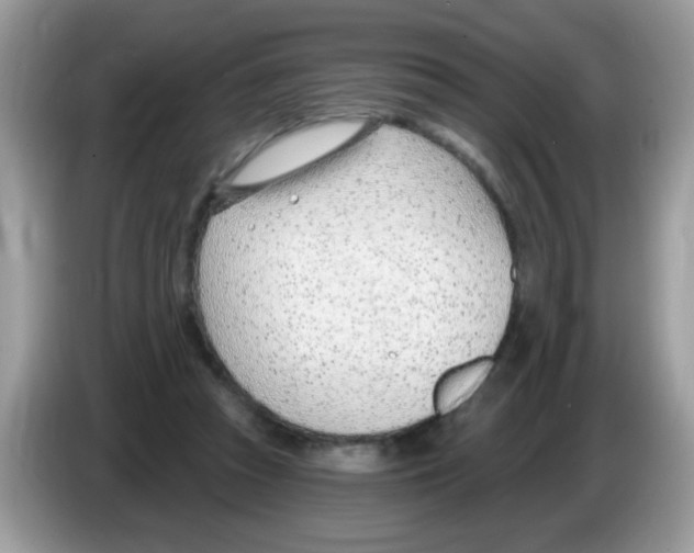 X0000086250353200704261940