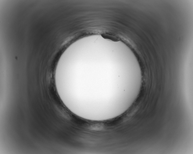 X0000086250355200704261940