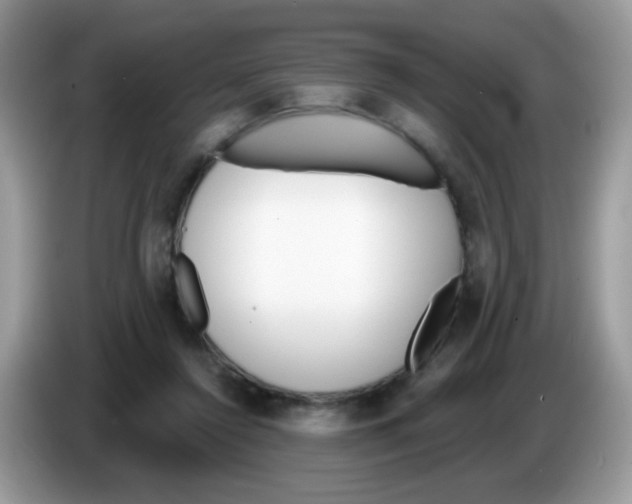 X0000086250356200704261940