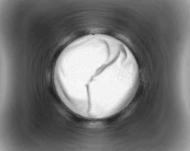 X0000086250357200704261940