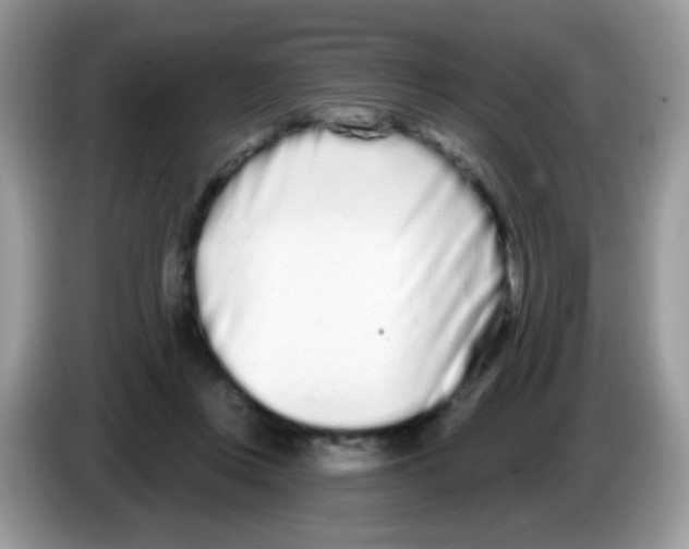 X0000086250359200704261940