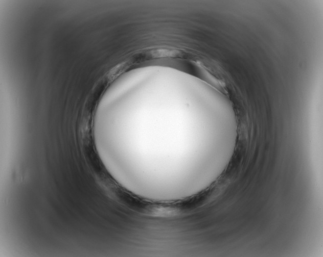 X0000086250360200704261940