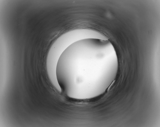 X0000086250362200704261940