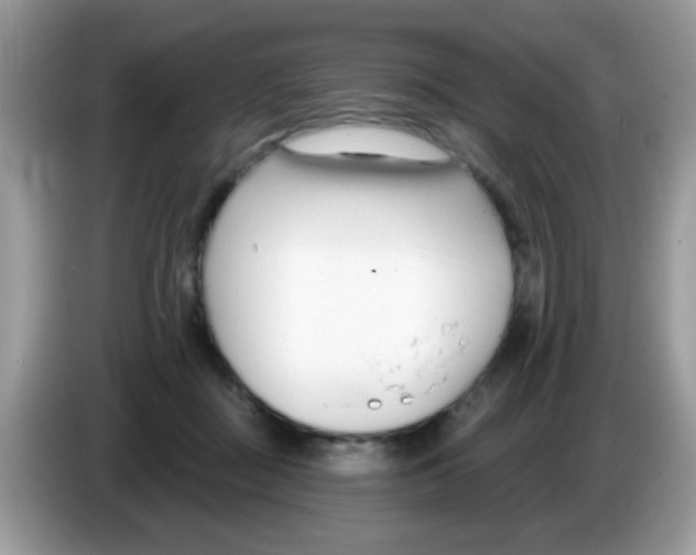 X0000086250363200704261940