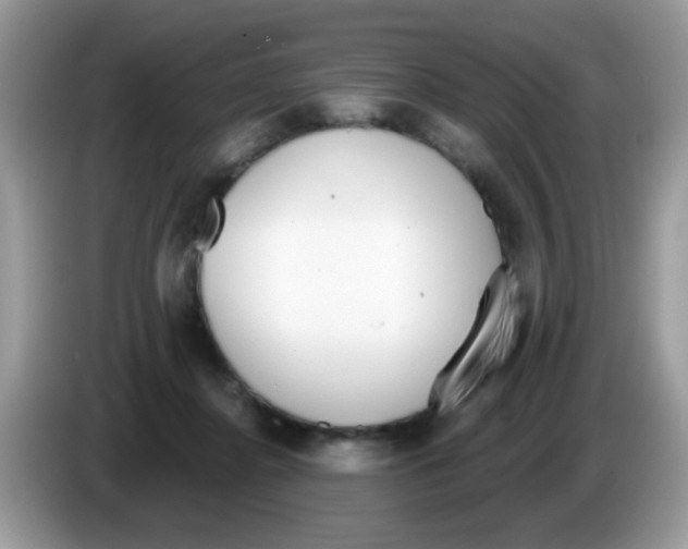 X0000086250364200704261940