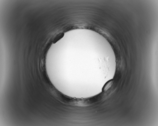 X0000086250365200704261940