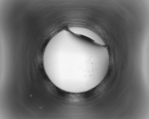 X0000086250367200704261940