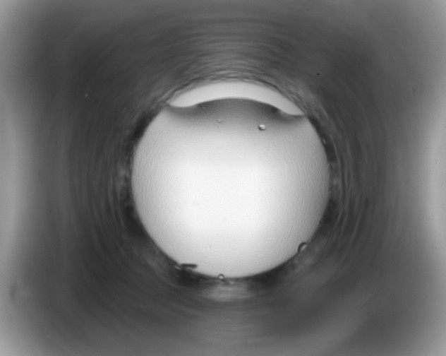 X0000086250369200704261940