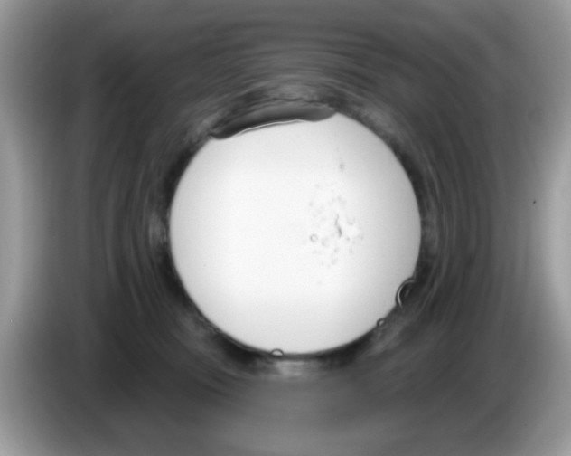 X0000086250371200704261940