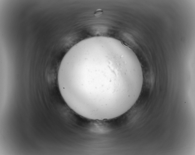 X0000086250372200704261941