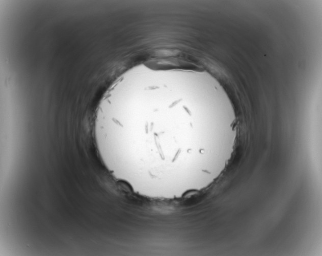 X0000086250373200704261941