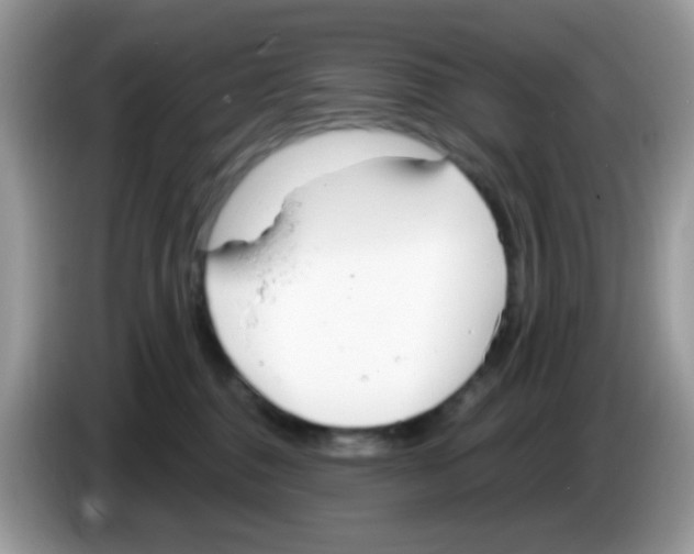 X0000086250376200704261941