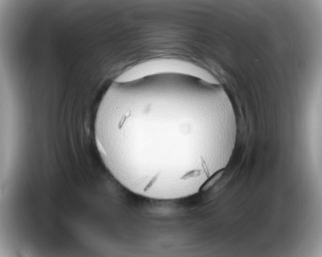 X0000086250377200704261941