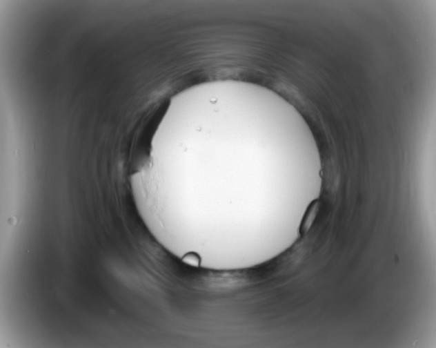 X0000086250378200704261941