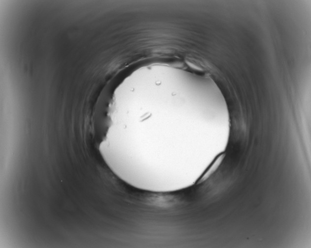 X0000086250379200704261941