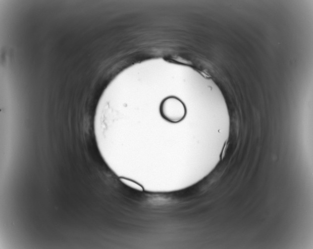 X0000086250380200704261941