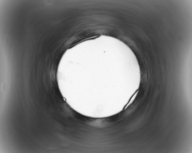 X0000086250382200704261941