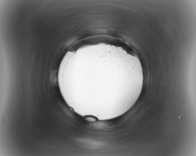 X0000086250383200704261941