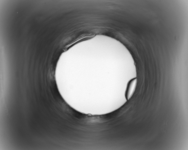 X0000086250384200704261941