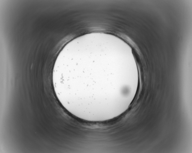 X0000086250385200704261940
