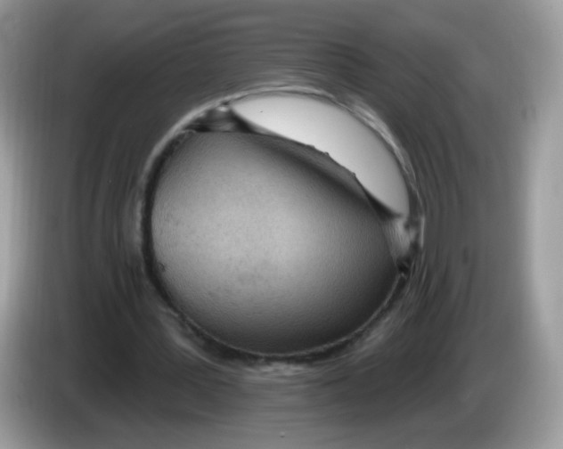 X0000086250387200704261940