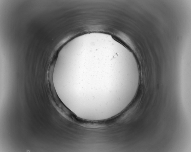 X0000086250389200704261940